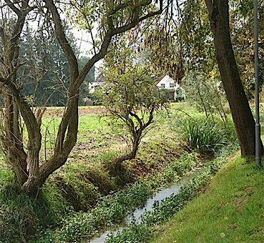 der kleine Ascherbach der kleine Ascherbach
